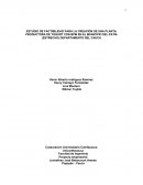 ESTUDIO DE FACTIBILIDAD PARA LA CREACIÓN DE UNA PLANTA PRODUCTORA DE YOGURT CON BPM