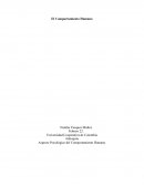 Aspecto Psicológico del Comportamiento Humano