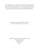 Caracterización de una Muestra de Pavimento Reciclado