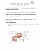 Cuestionario de aprendizaje y evidencias para la materia de enfermería materno infantil