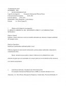Contaminacuion de trafico aereo