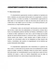 COMPORTAMIENTO ORGANIZACIONAL. TEORÍAS. Página 1