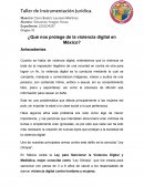 Violencia Digital en México