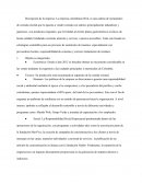 Identificación Caso Wok