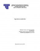 ¿Cuáles serían los beneficios de la agricultura sostenible?