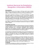 Instituto Nacional de Estadística, Geografía e Informática (INEGI)