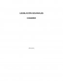 LEGISLACIÓN ADUANALES CANAMEX