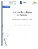 Analisis de entrevista a michel porter