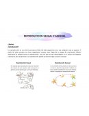 REPRODUCCION SEXUAL Y ASEXUAL