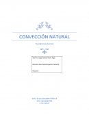 Fundamentos Fisicos. Transferencia de Calor