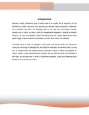 El Exito No Llega Por Casualidad