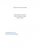 Ensayo ley de Little o cuello de botella. Sistemas flexibles de manufactura
