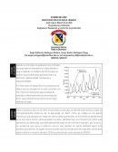 Asignatura: Planeación y control de la producción