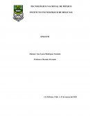 MICROENTORNO Y MACROENTORNO