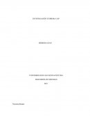 INVESTIGACIÓN TEOREMA CAP