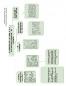 Película “La Guerra del Fuego”