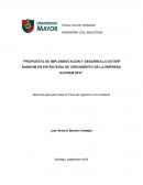 PROPUESTA DE IMPLEMENTACION Y DESARROLLO DE ERP RANDOM EN ESTRATEGIA DE CRECIMIENTO DE UNA MEDIANA EMPRESA