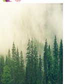 Link de la infografía... Propuesta fomentar y divulgar los derechos humanos