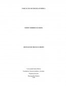 PARCIAL DE SOCIOLOGIA JURIDICA