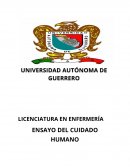 Ensayo Cuidado Humano