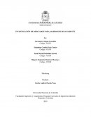 INVESTIGACIÓN DE MERCADOS PARA ALMIDONES DE OCCIDENTE