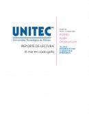 REPORTE DE LECTURA El mar en cada gota