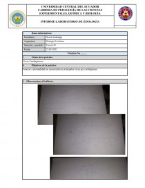 INFORME LABORATORIO DE ZOOLOGÍA. Página 1