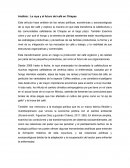 Análisis : La roya y el futuro del café en Chiapas