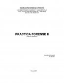 Practica forense