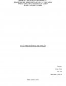 GUÍA PEDAGÓGICA DE INGLÉS