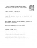REPORTE DE LECTURA “SOBRE LA ATENCIÓN A LA DIVERSIDAD “DE PILAR ARNAIZ
