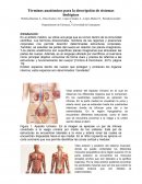 Términos anatómicos para la descripción de sistemas biológicos