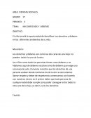 MIS DERECHOS Y DEBERES