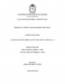 ANALISIS FINANCIERO EMPRESA ESTRUCTURAS GREYSI Y THOMAS S.A.S