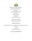 FABRICACION DE ESTRUCTURAS URBANAS A BASE DE ECOBRICKS