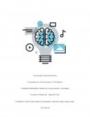 La influencia de la televisión en la violencia actual