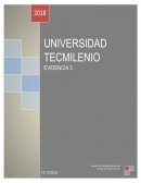 La función del sistema endocrino y sus principales glándulas