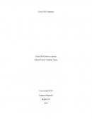 Coca-Cola Company (Análisis)