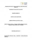 ORGANIZACIÓN PROYECTO FINAL DE GESTION Y GEOPLANIFICACION AMBIENTAL