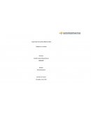 FORMATO DE LÁMPARAS EN EL CAMINO