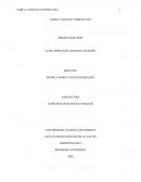 EMSAYO SOBRE LA FAMILIA.GERONTOLOGIA