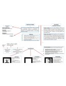 Mapa conceptual "el Constructivismo" y síntesis