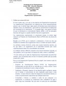 Organizaciones exponenciales