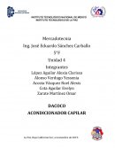 Proyecto DACOCO ACONDICIONADOR CAPILAR