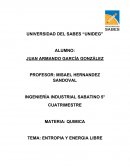 ENTROPIA Y ENERGIA LIBRE