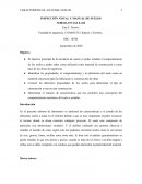 INSPECCIÓN VISUAL Y MANUAL DE SUELOS