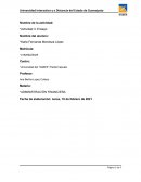 Administración financiera de riesgos empresariales