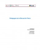 Pedagogía de la Educación Física