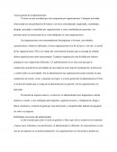 Teoría general de la administración