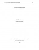 Consultas Sistemas de Información